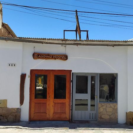 טיליקארה Andino Hostel מראה חיצוני תמונה