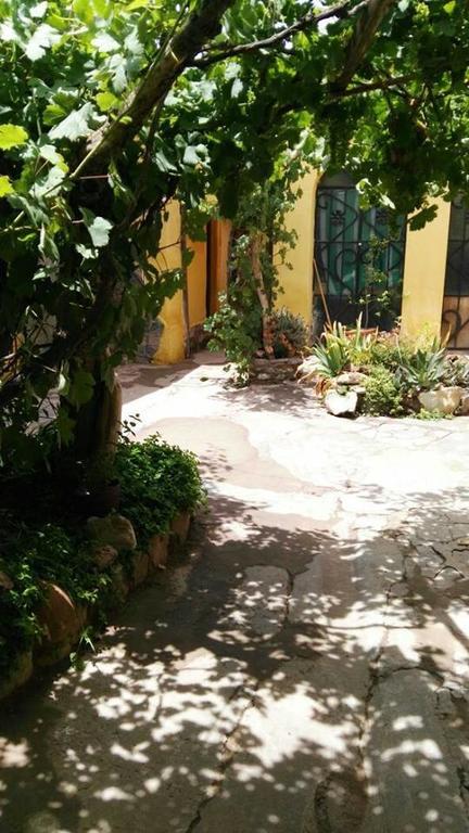 טיליקארה Andino Hostel מראה חיצוני תמונה