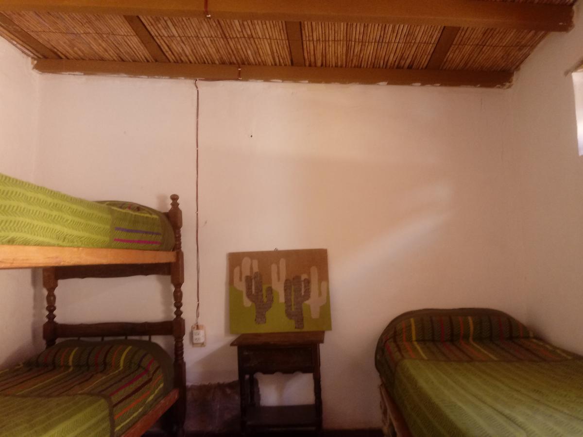טיליקארה Andino Hostel מראה חיצוני תמונה